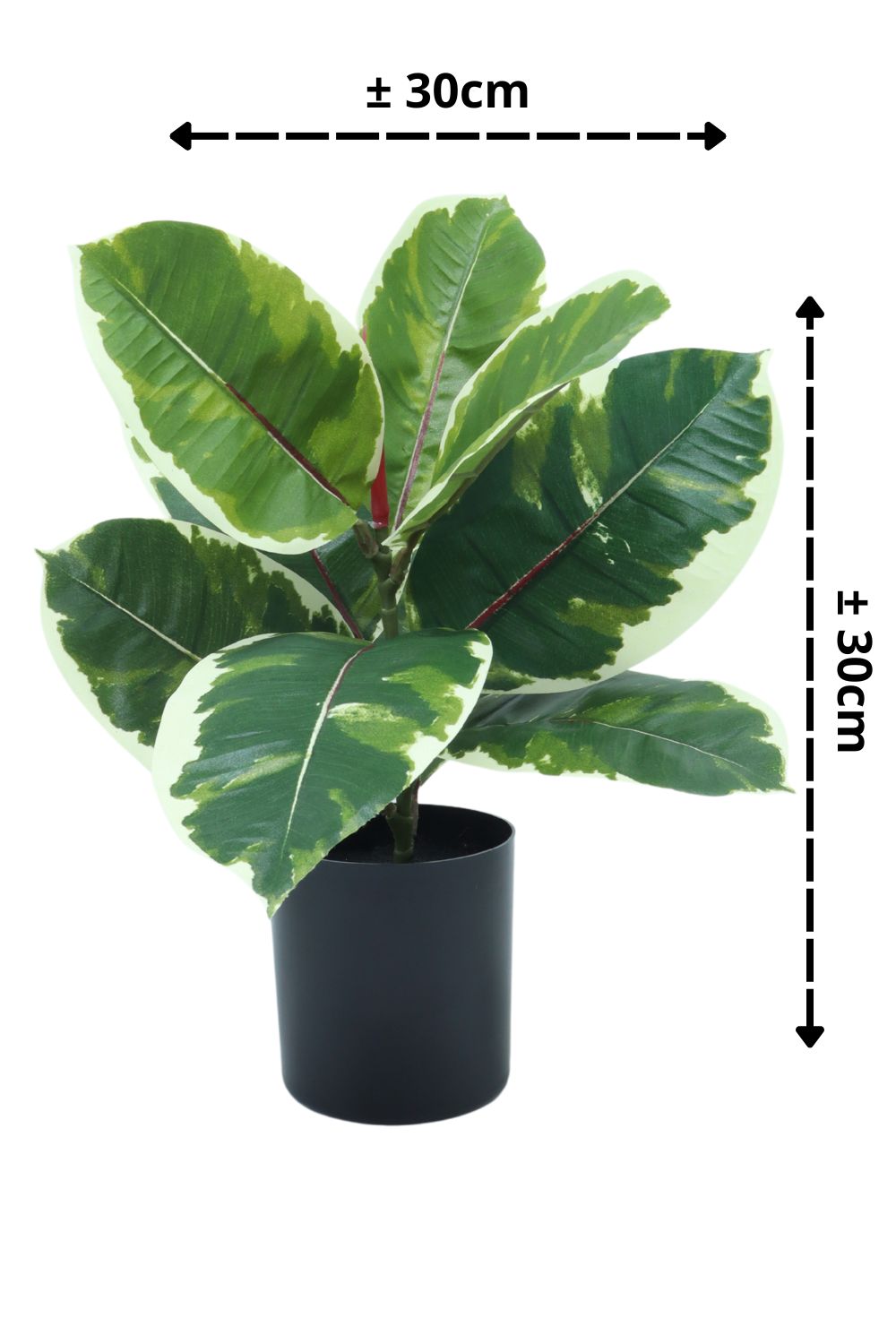 Plante artificielle Ficus Elastica 30 cm