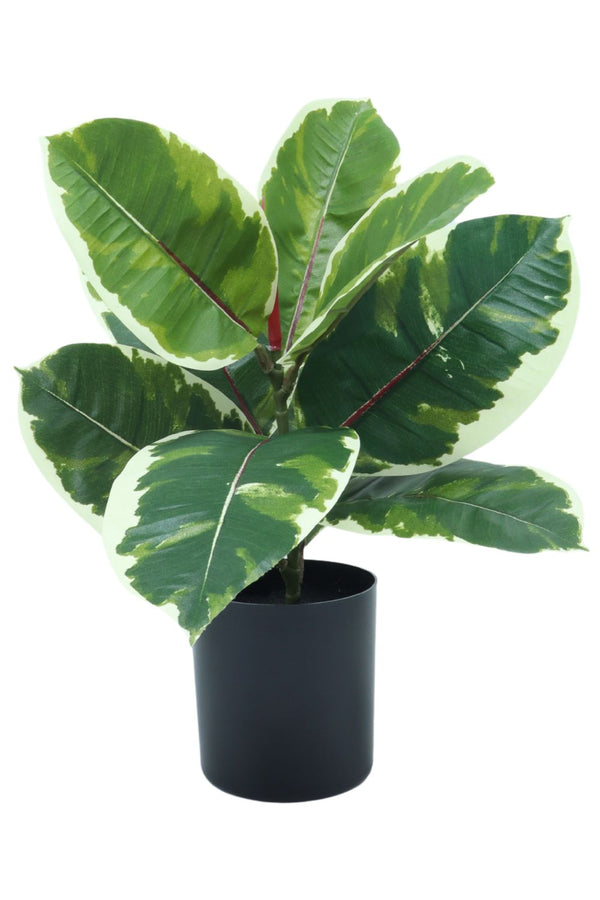 Plante artificielle Ficus Elastica 30 cm