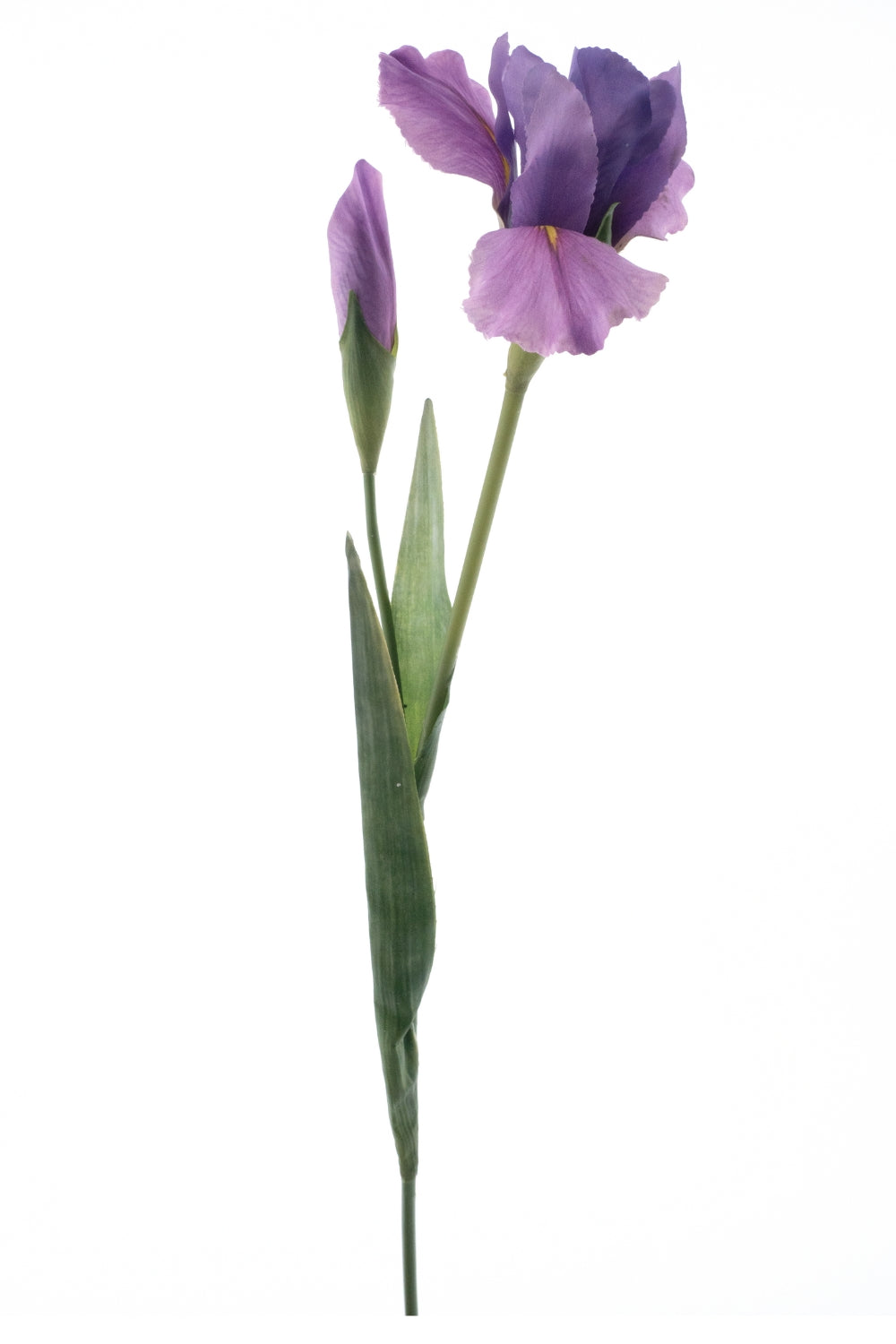 Iris Fleur Artificielle 74cm Violet