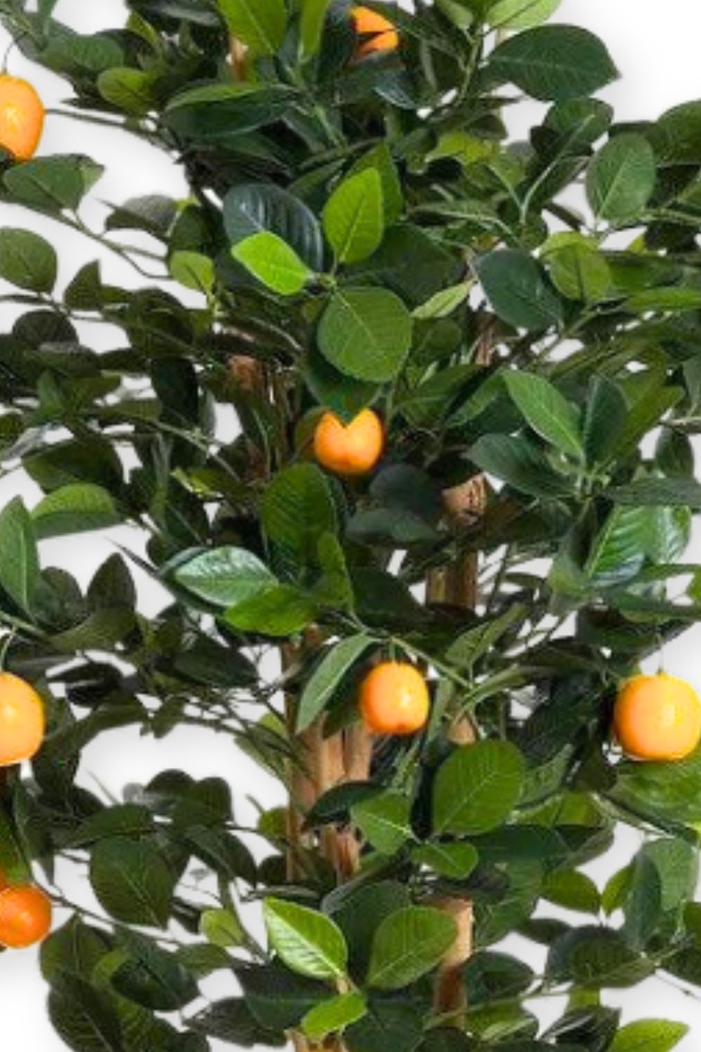 Oranger Artificiel 120 cm