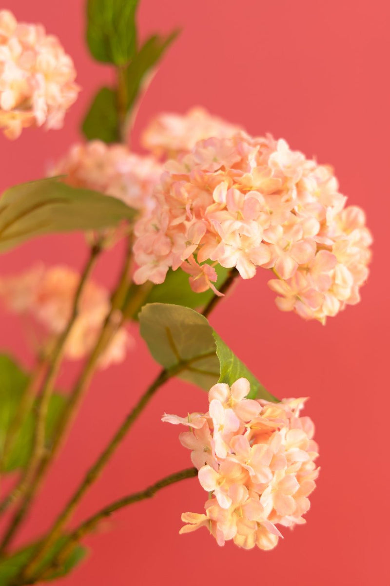 Détails 2 du Bouquet Artificiel Viburnum Vibes Pink