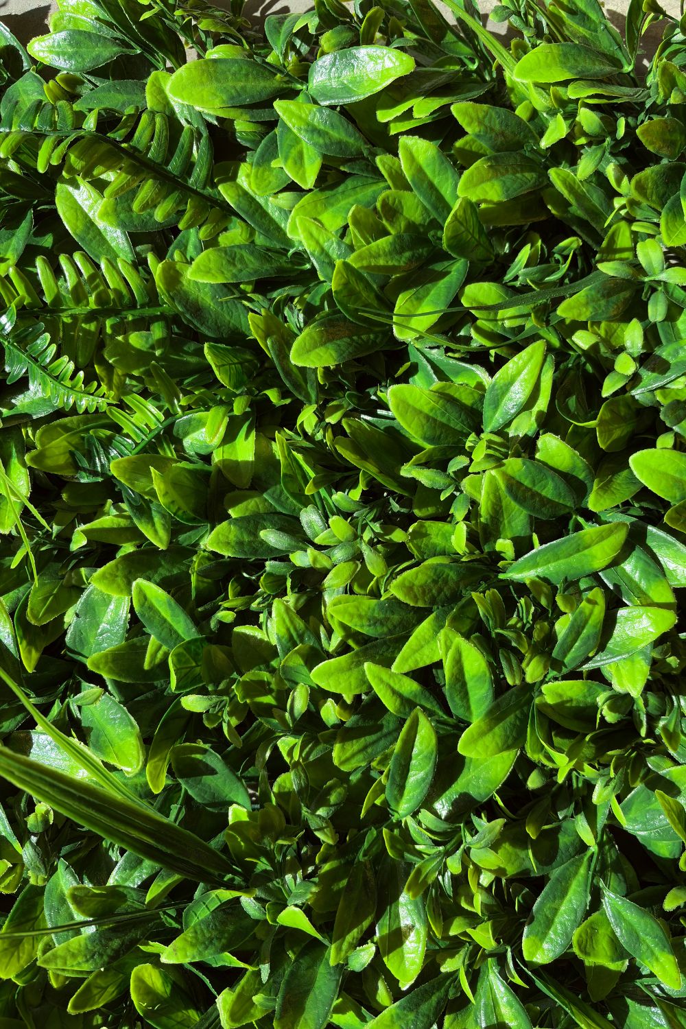 Haie murale artificielle verte mixte 60x40 cm avec protection UV