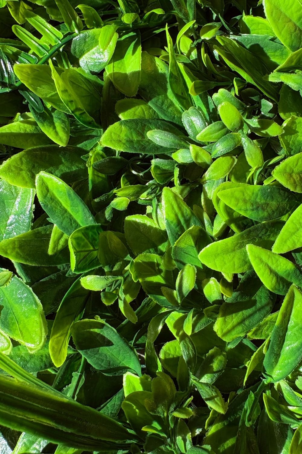 Haie murale artificielle verte mixte 60x40 cm avec protection UV