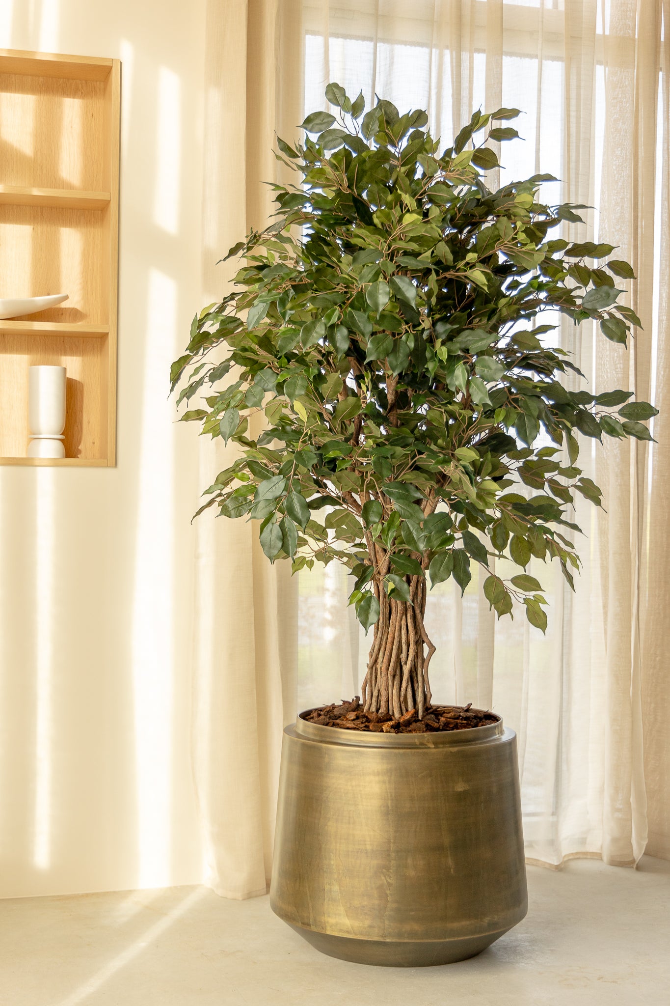 Ficus Liana artificielle 180 cm