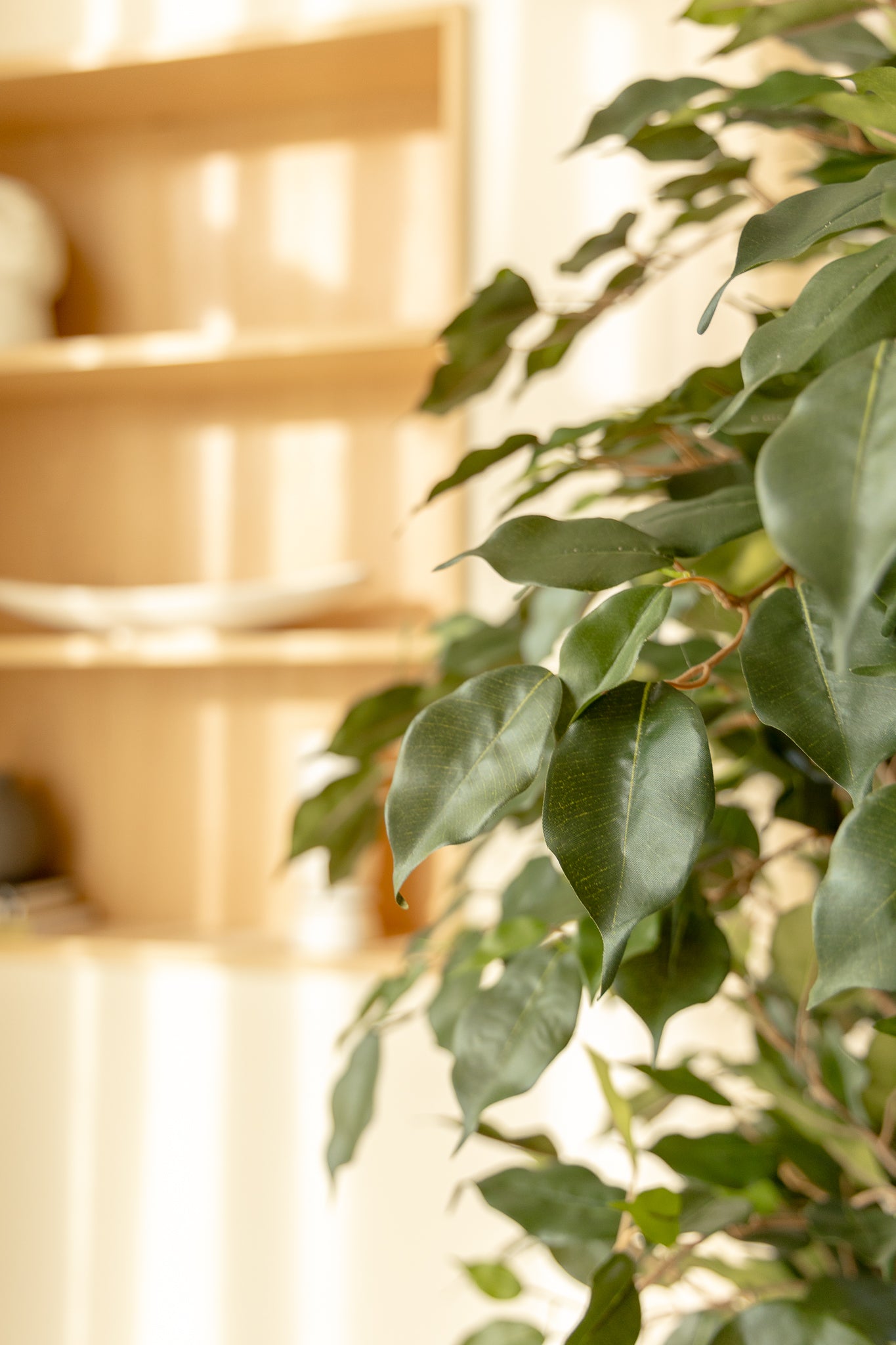 Ficus Liana artificielle 180 cm