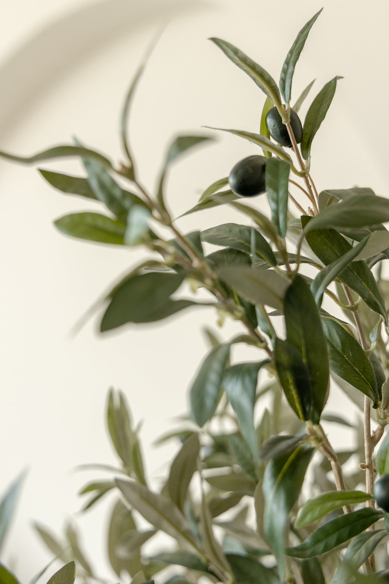 Détails du Olivier Artificiel 170cm Deluxe