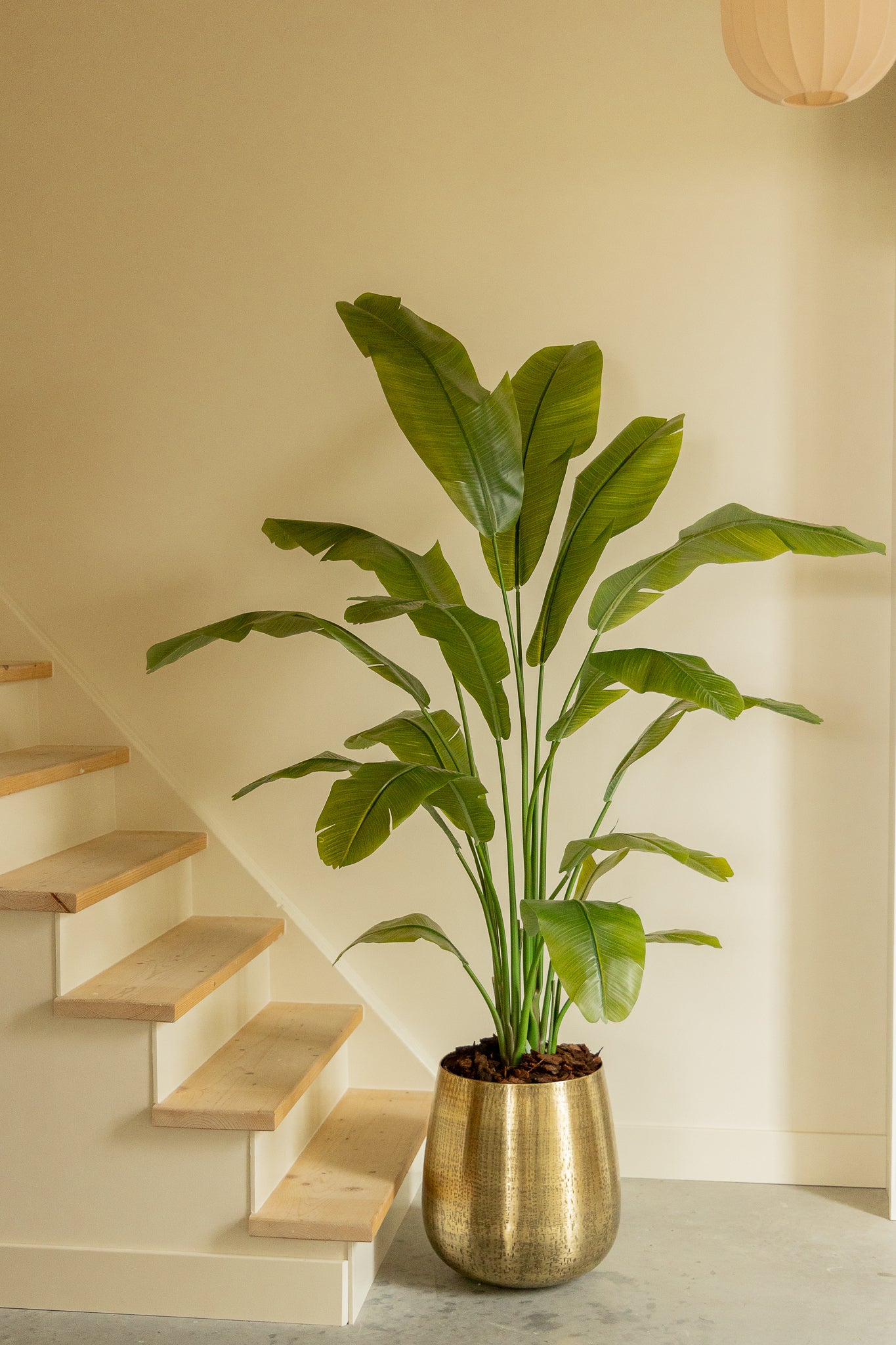 Photo d'ambiance du Pot de fleur Doré 40x40 cm (métal)