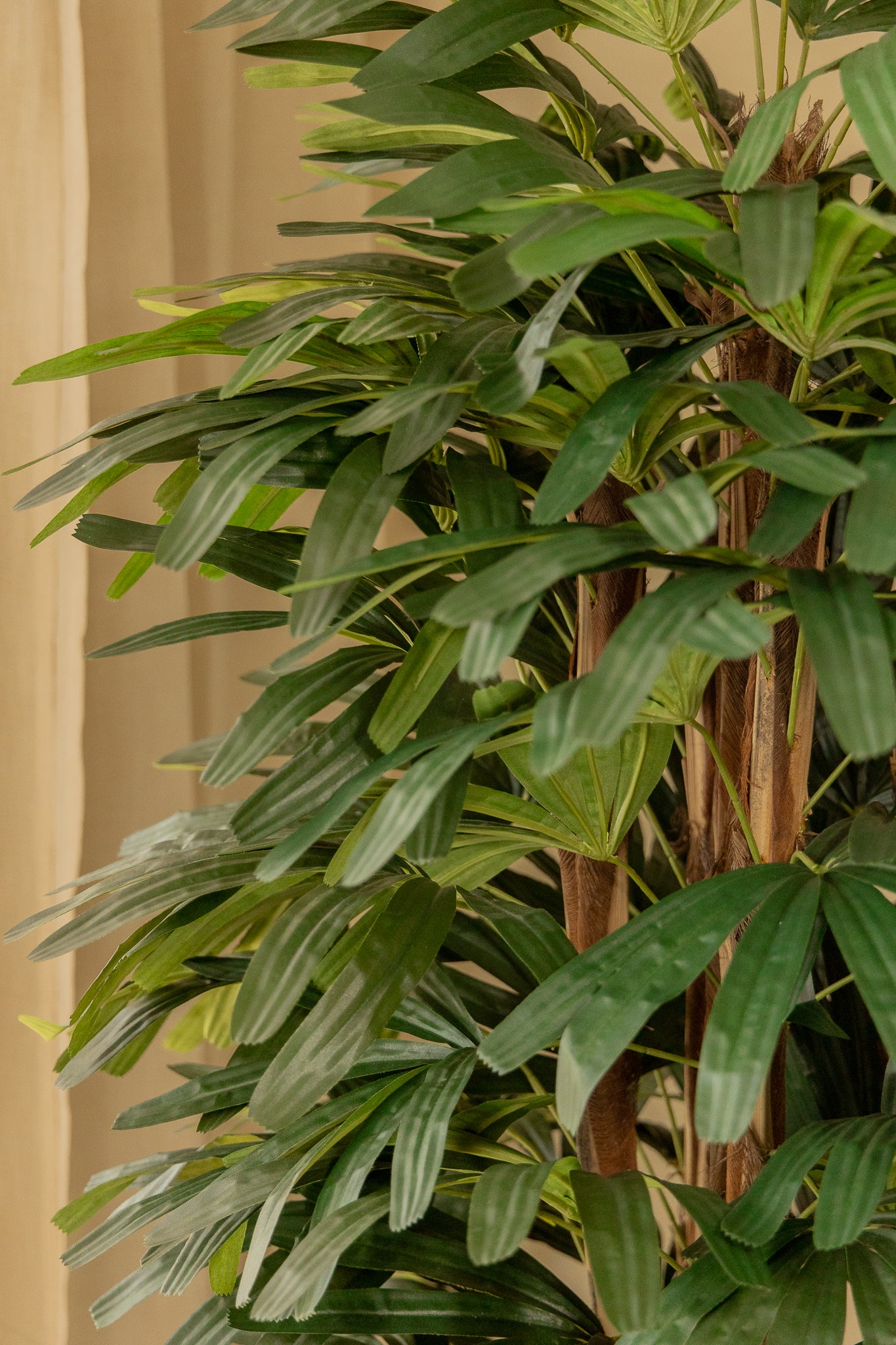 Raphis palmier artificiel 180 cm