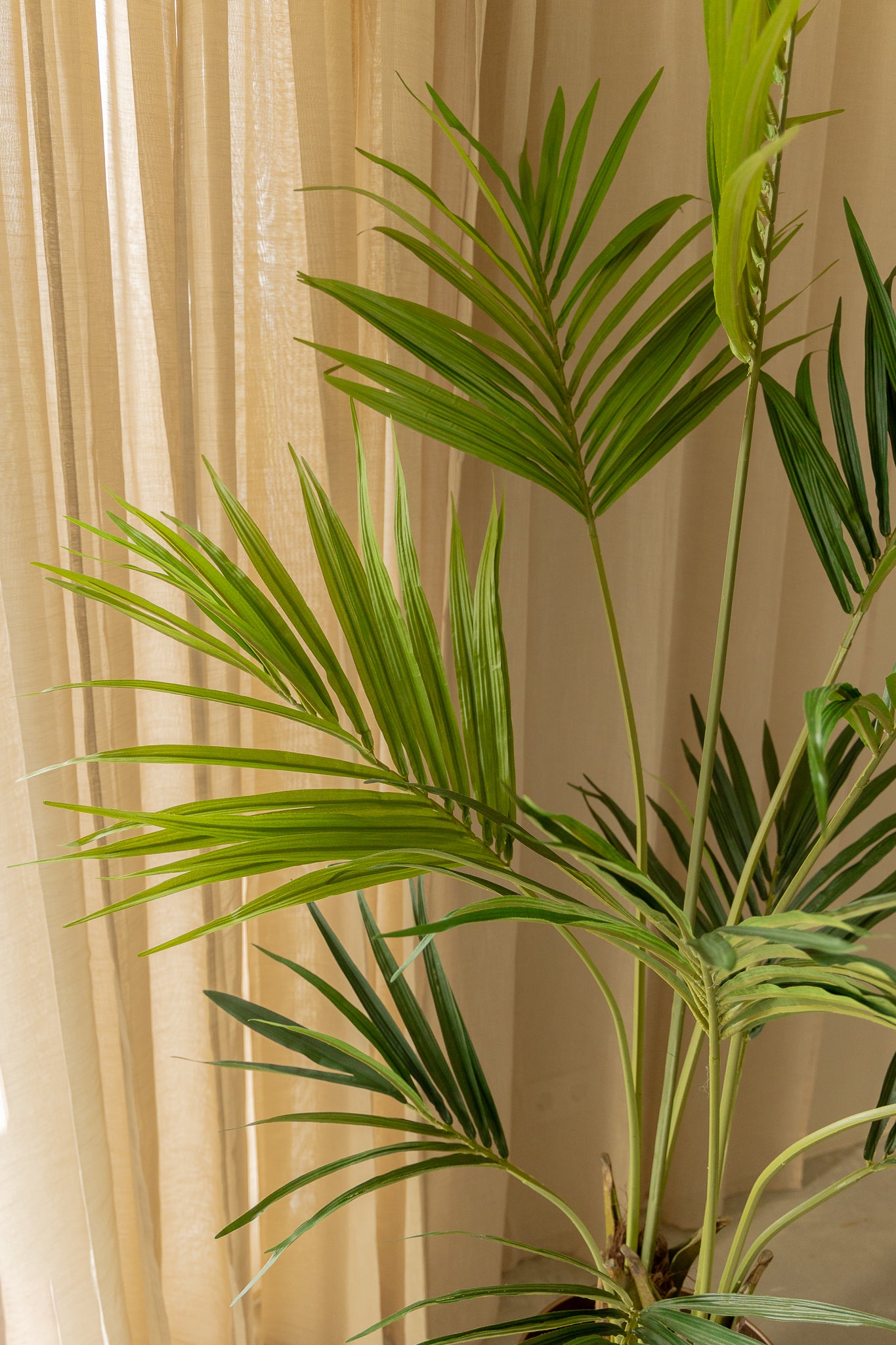 Détails du Palmier Kentia Artificiel 180cm