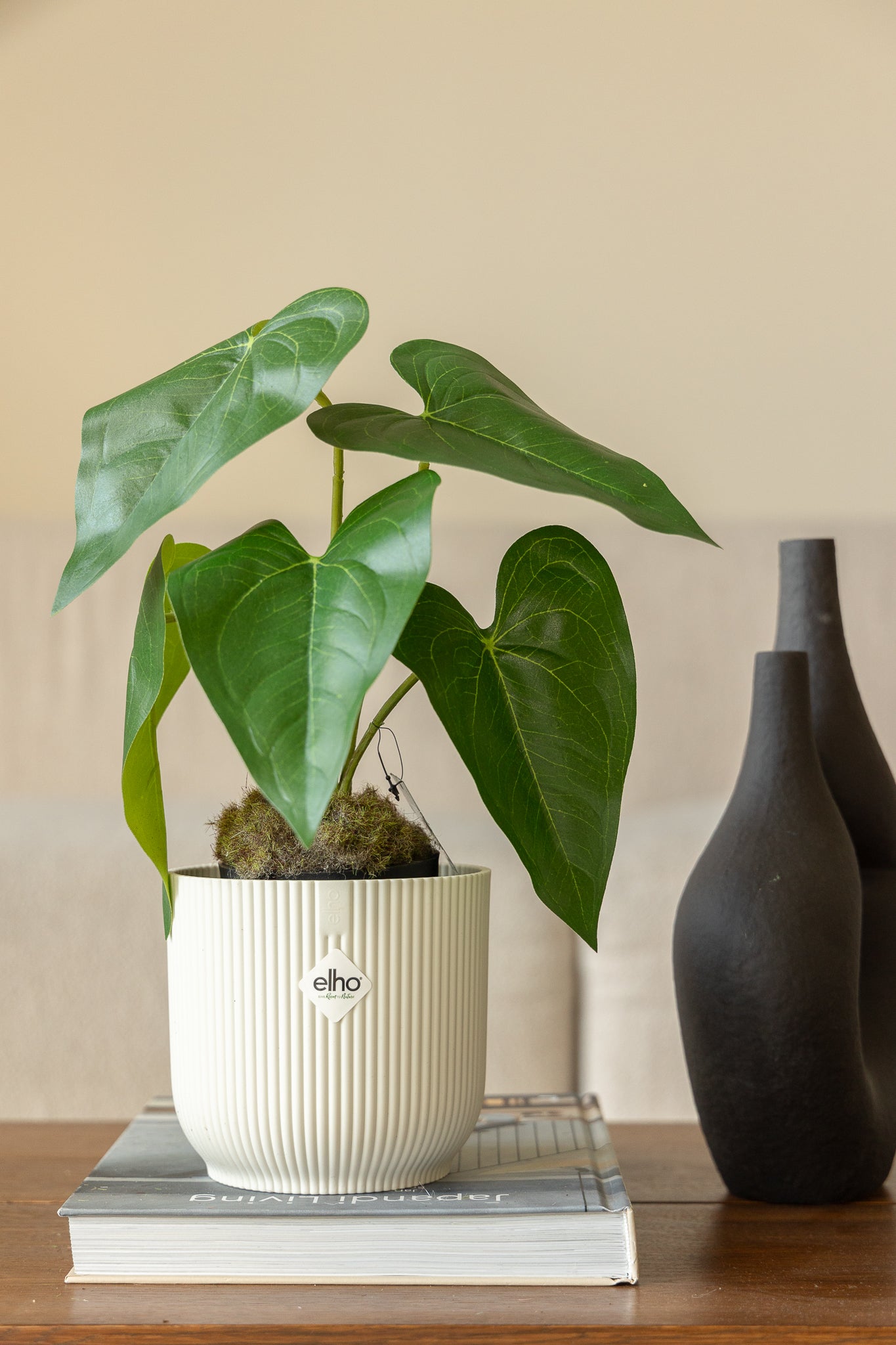 Plante Artificielle Anthurium 30 cm