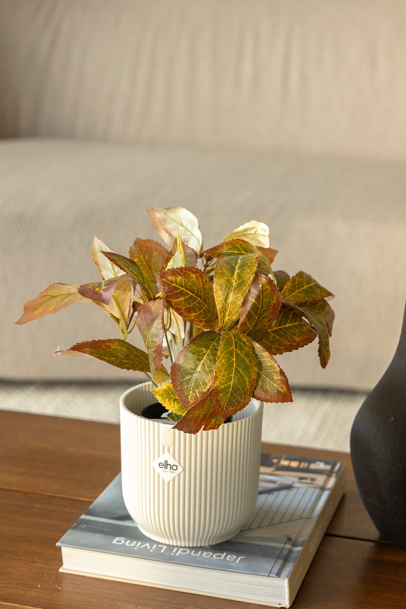 Croton artificiel 25 cm