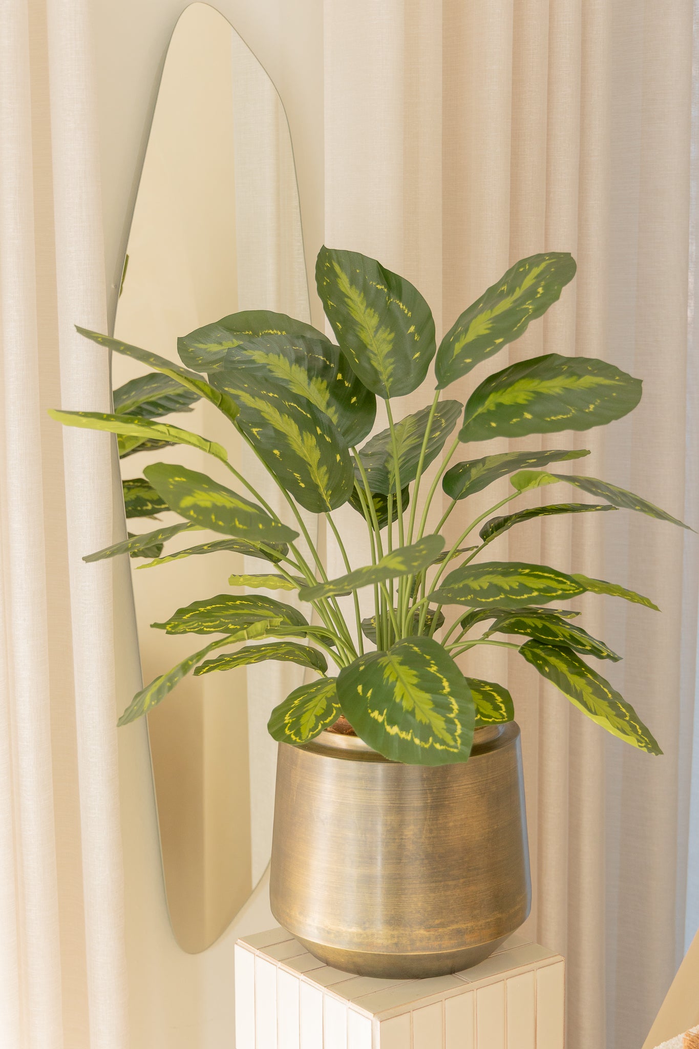 Calathea Artificielle 70cm