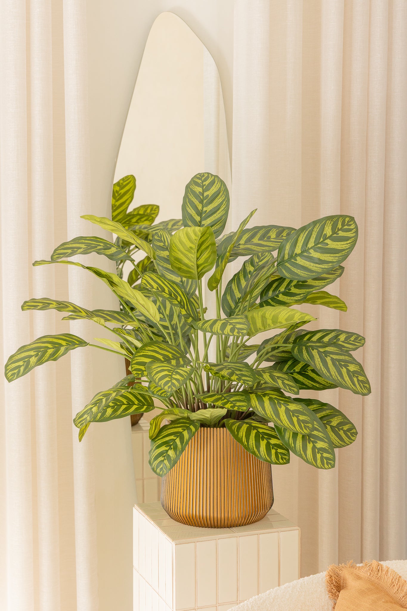 Calathea Artificielle 75cm