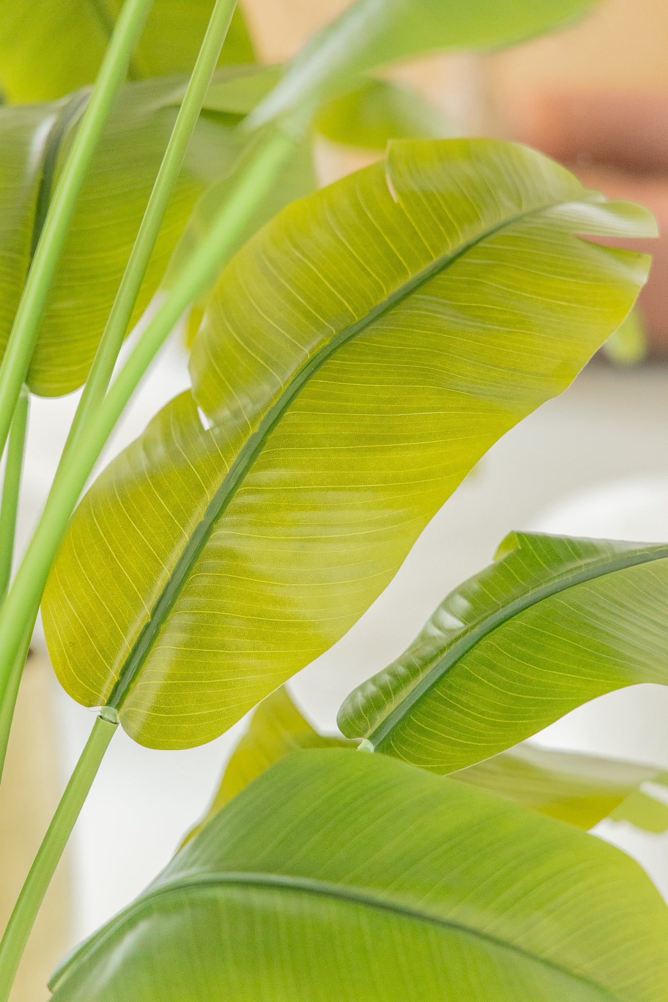 Strelitzia Artificielle 165cm