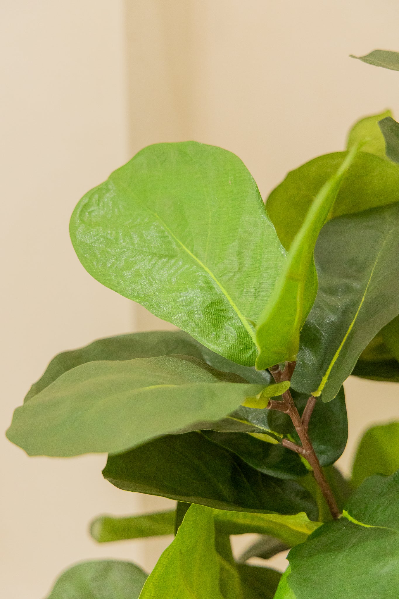 Ficus Artificiel 120cm