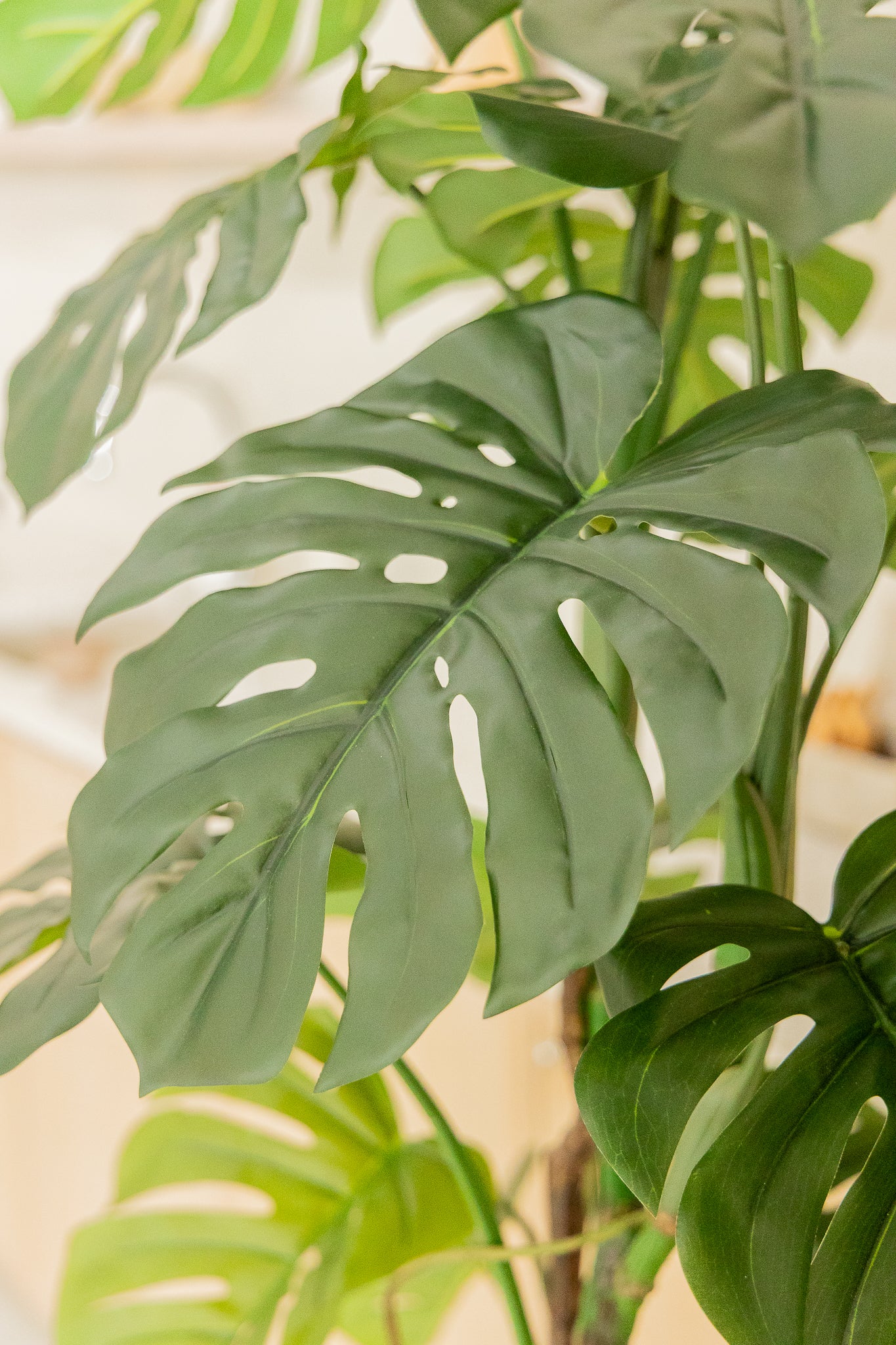 Monstera Artificielle 180cm