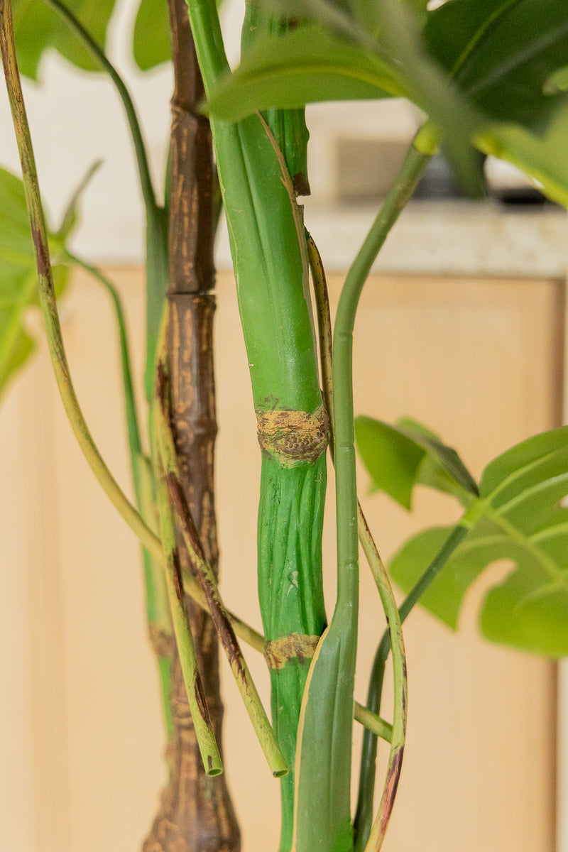 Monstera Artificielle 180cm