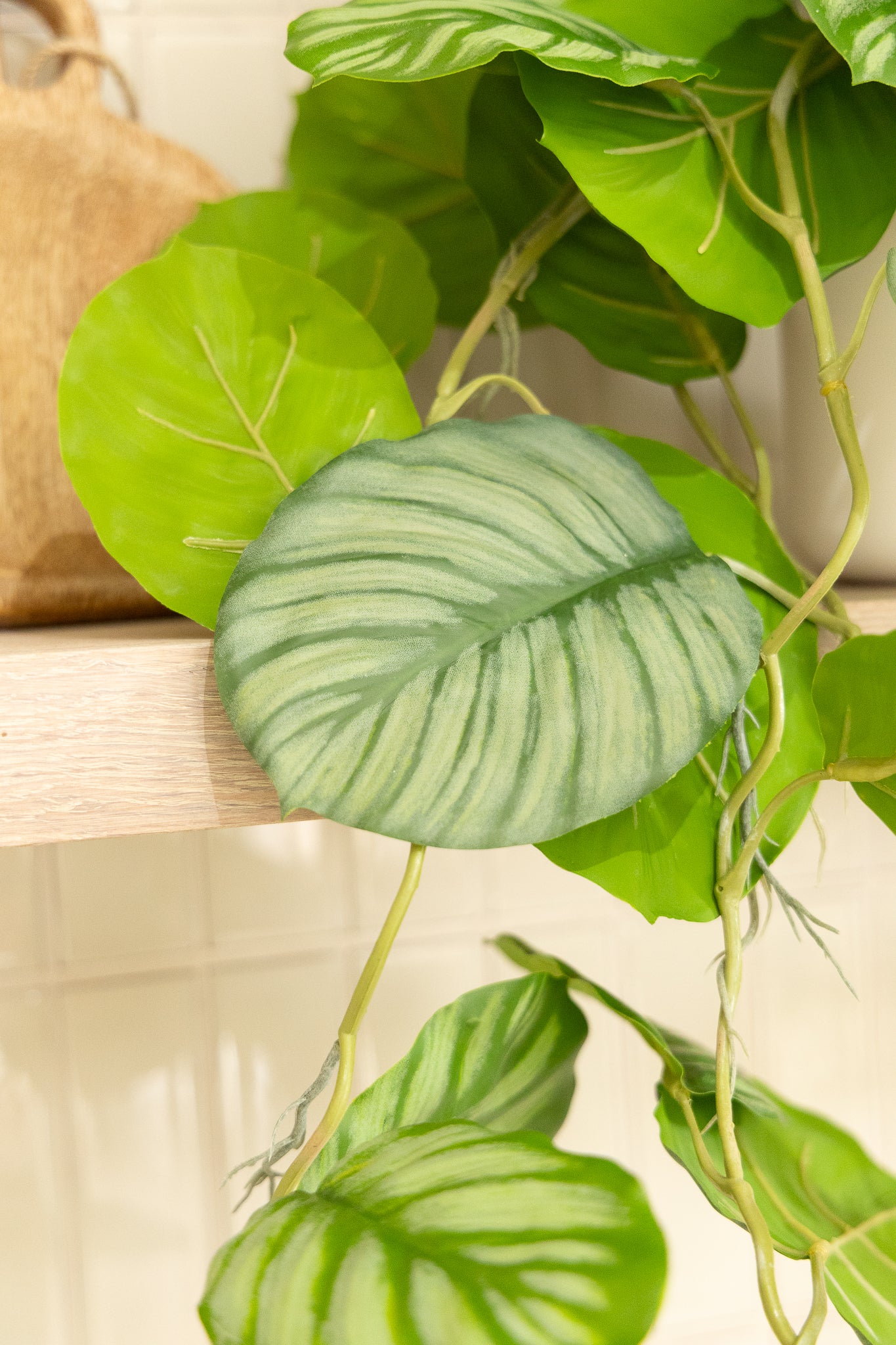 Calathea Artificielle Suspendue 95cm