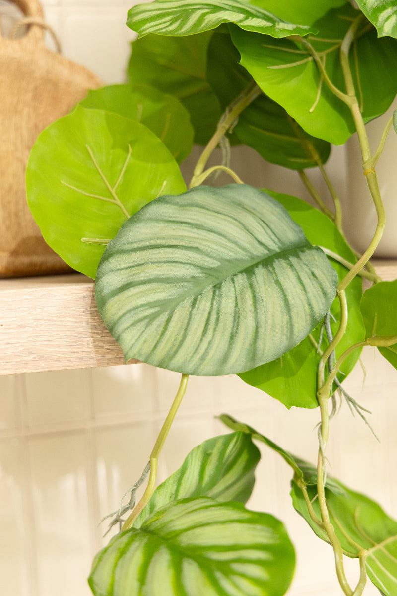 Calathea Artificielle Suspendue 95cm