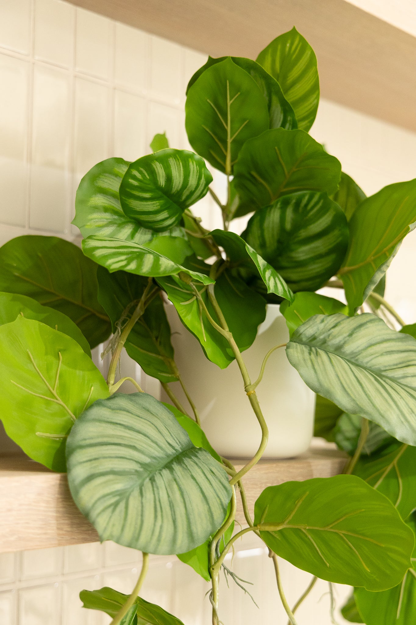 Calathea Artificielle Suspendue 95cm