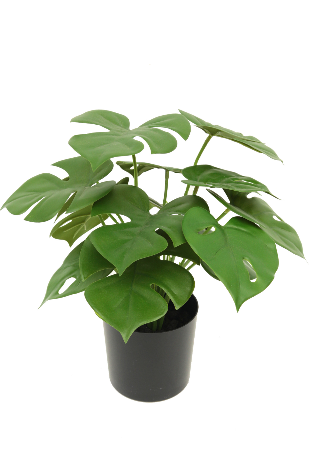 Monstera Artificielle 30cm