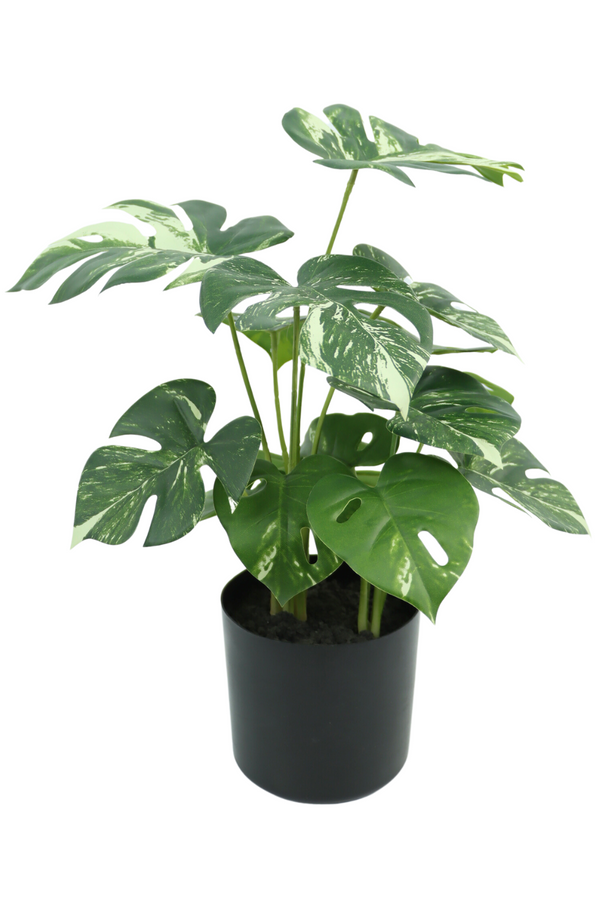 Monstera artificielle 40 cm