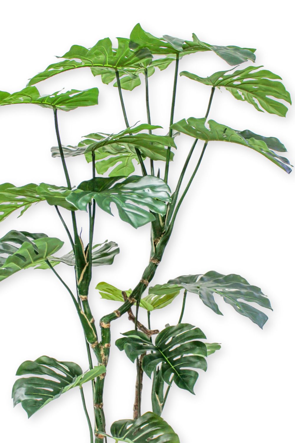 Monstera Artificielle 160 cm