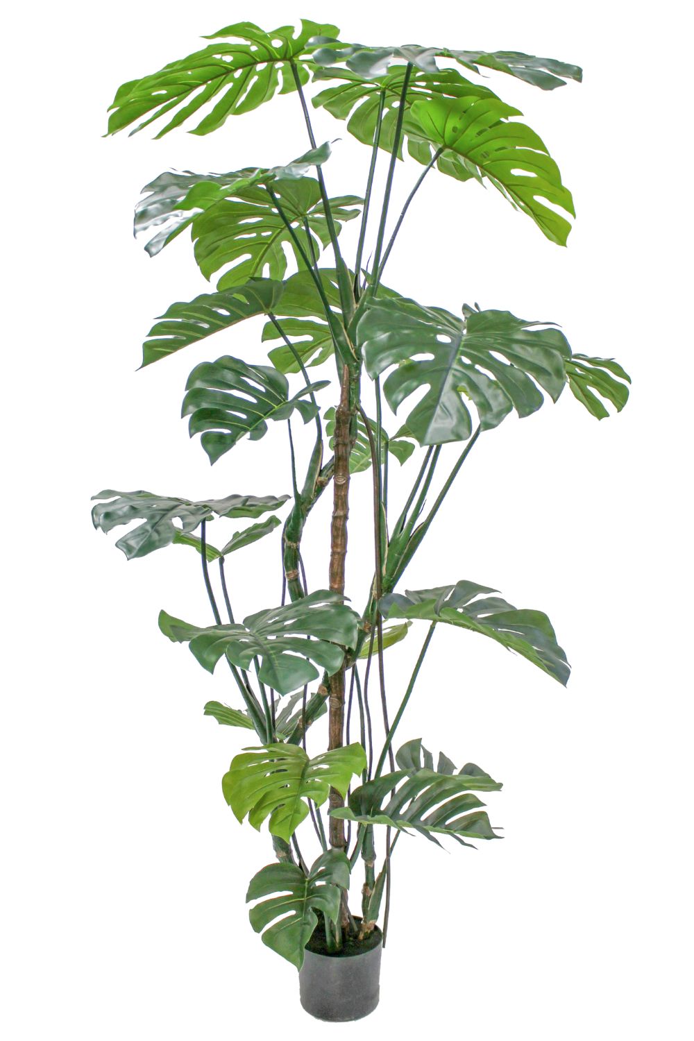 Monstera Artificielle 180cm