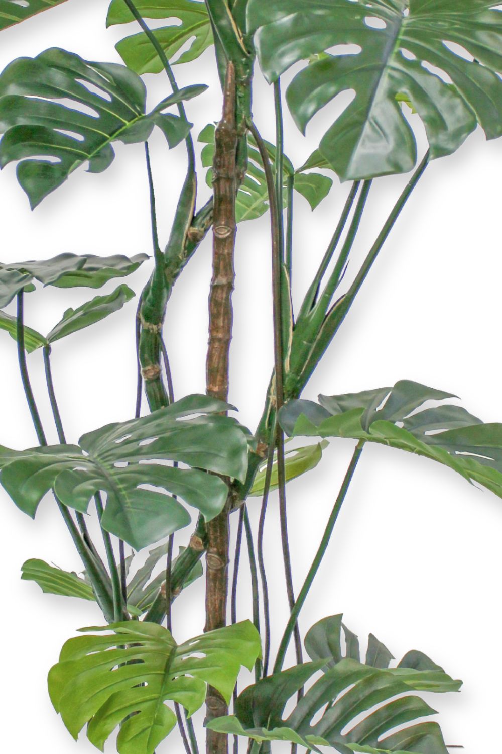 Détails du Dimensions de la Monstera Artificielle 180cm