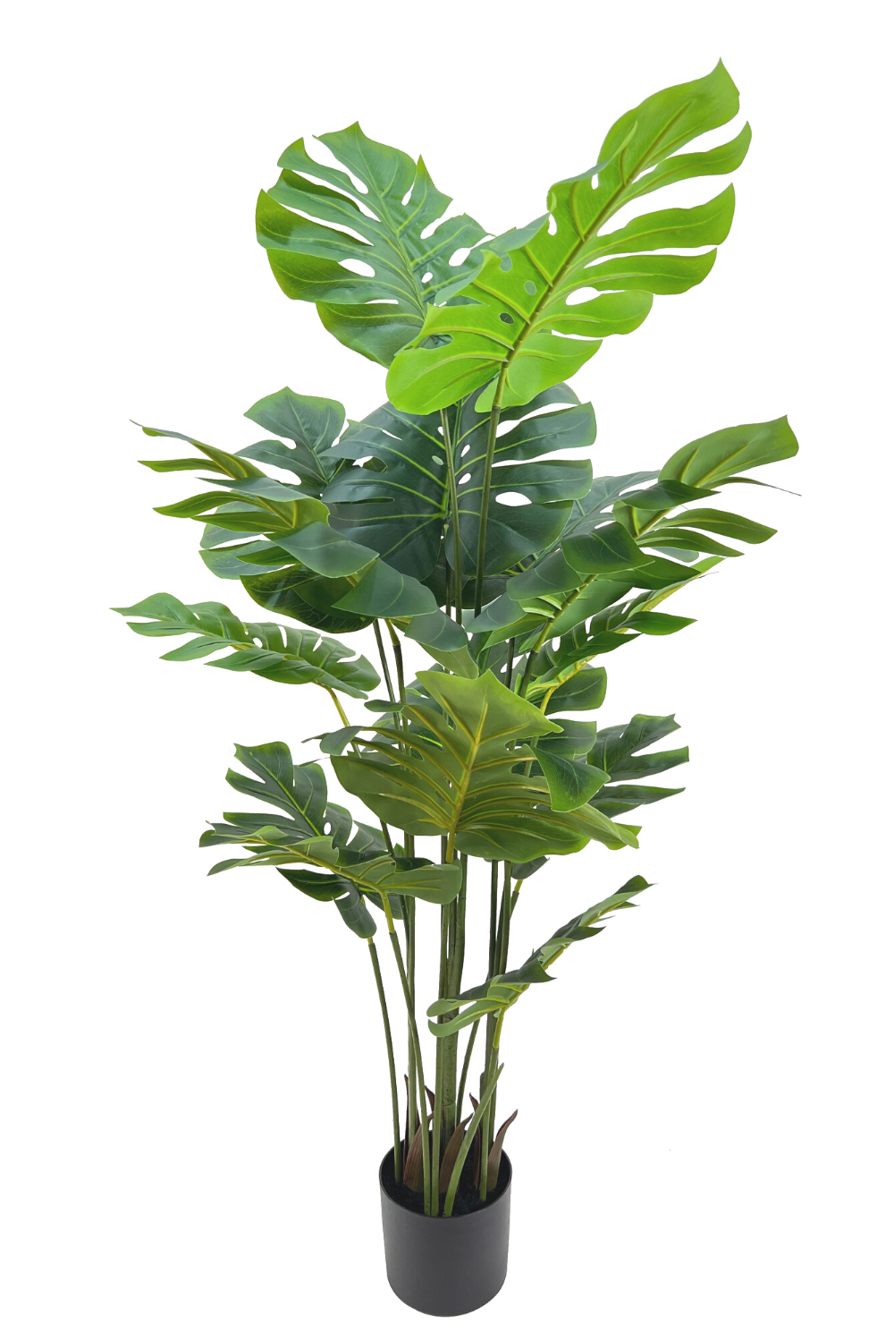 Monstera Artificielle 145cm
