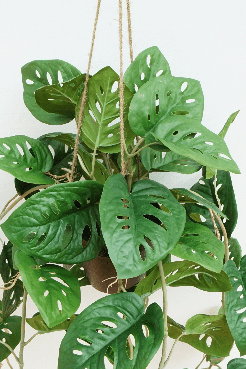Monstera Monkey Bush plante artificielle suspendue 95 cm