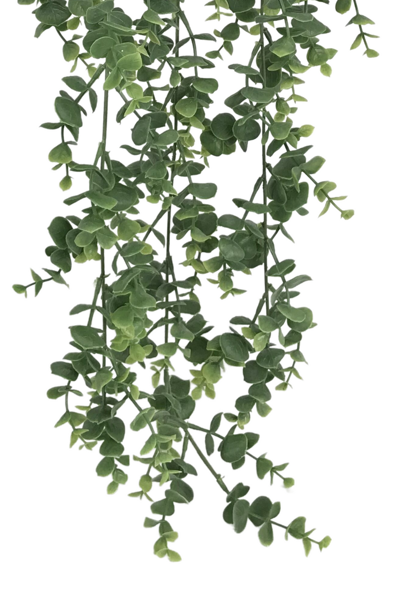 Feuilles de l’Eucalyptus Artificiel Suspendu 60cm