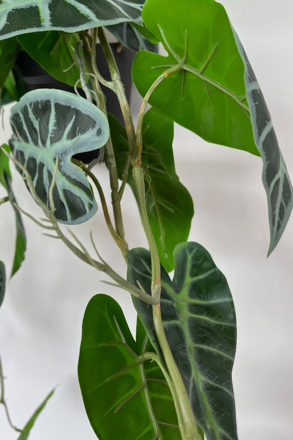 Plante artificielle suspendue Caladium 95 cm