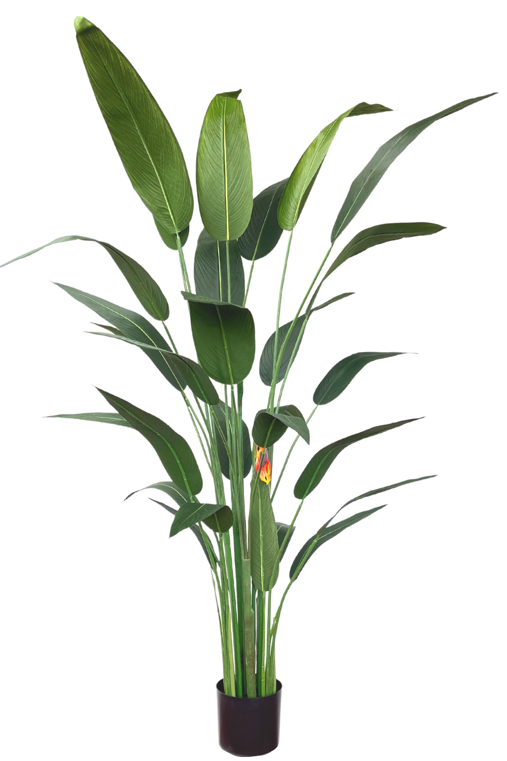 Strelitzia artificielle avec fleur 180 cm