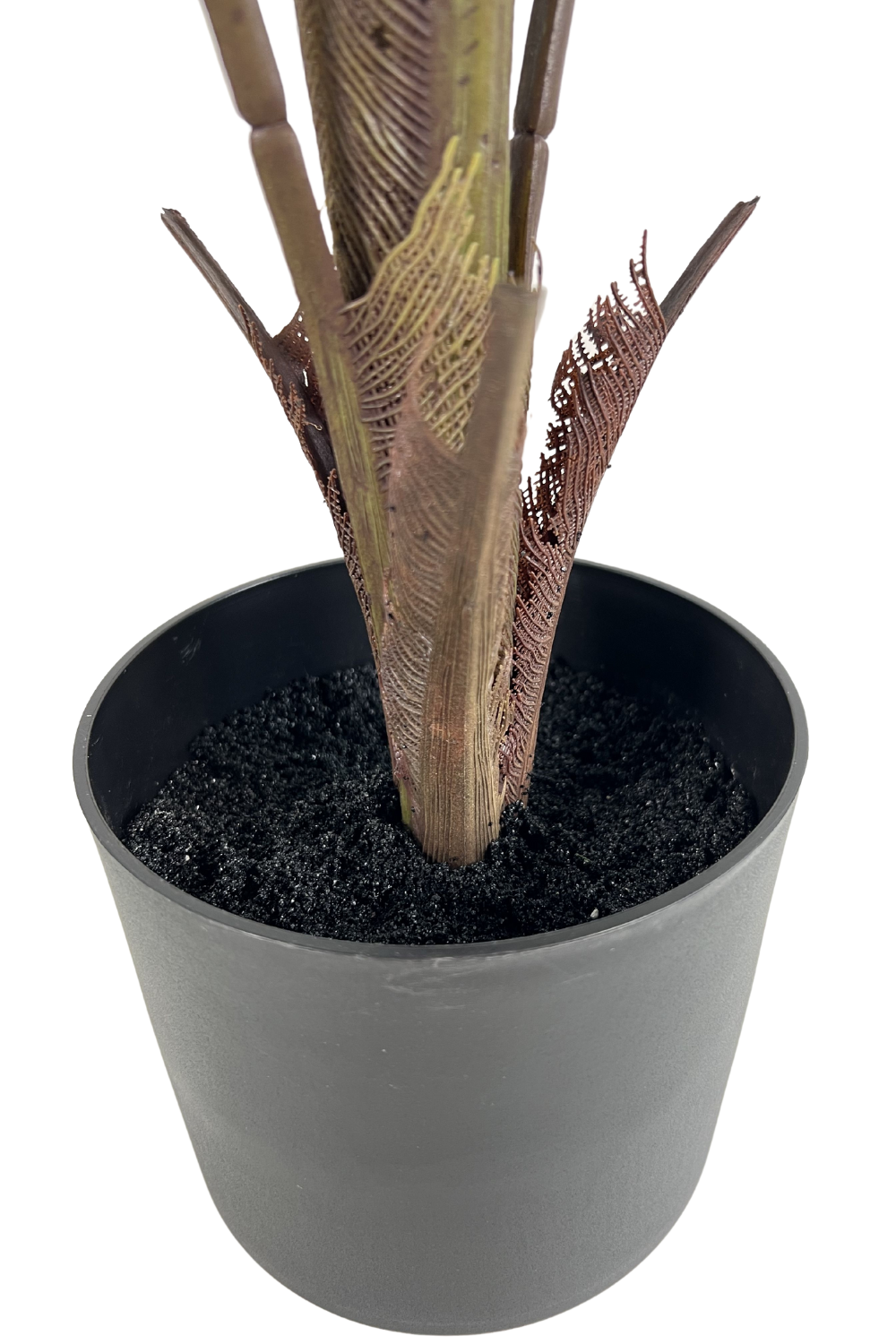 Tronc du Palmier Éventail Artificiel 75cm