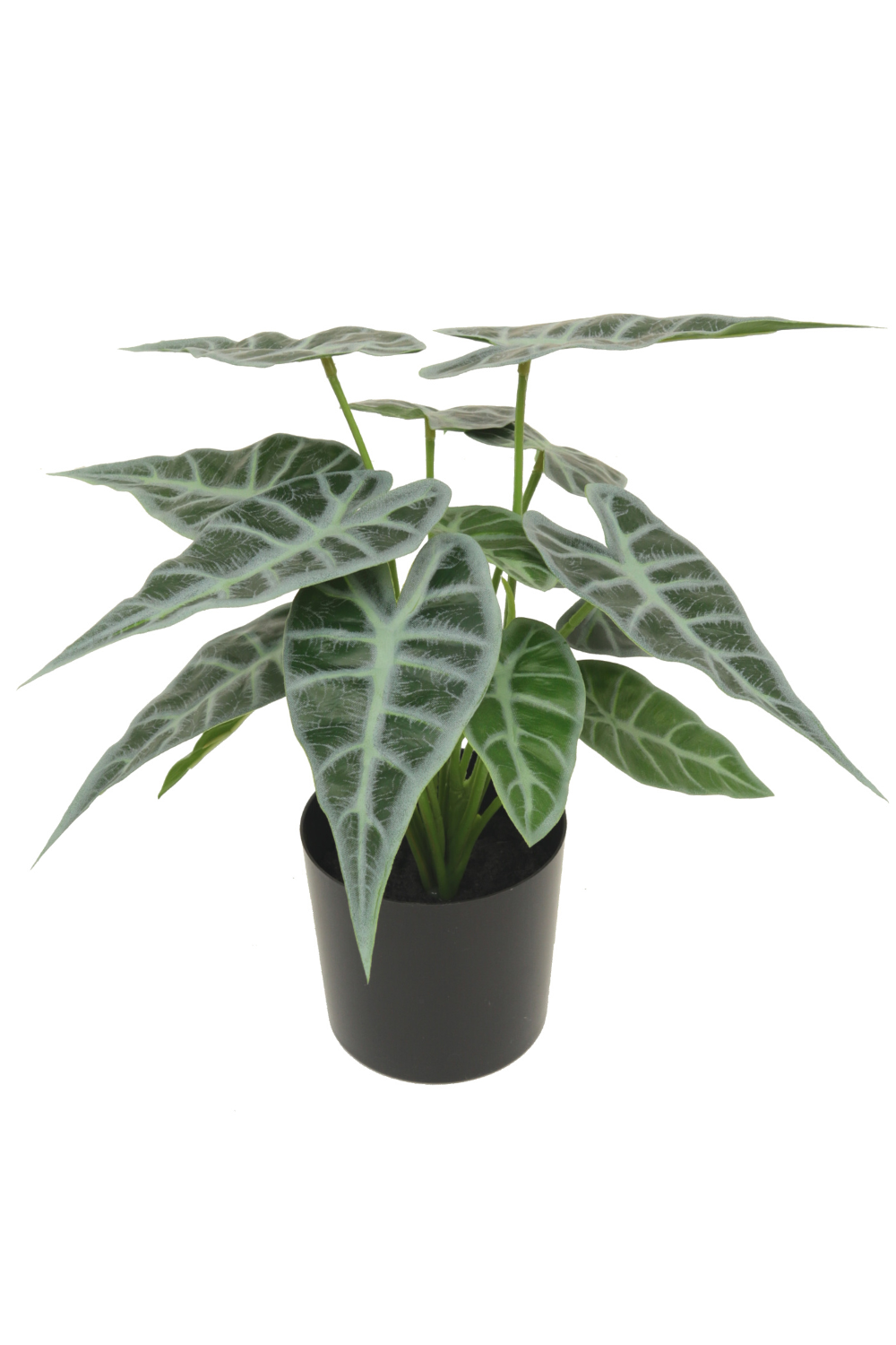 Caladium Artificiel 20cm