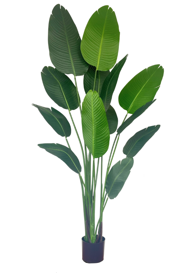 Strelitzia artificielle 180 cm