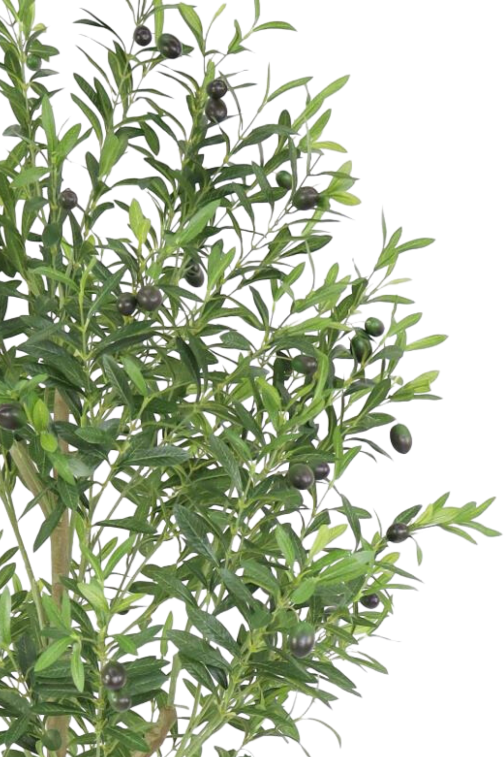 Photo de détail de l’Olivier Artificiel 180cm