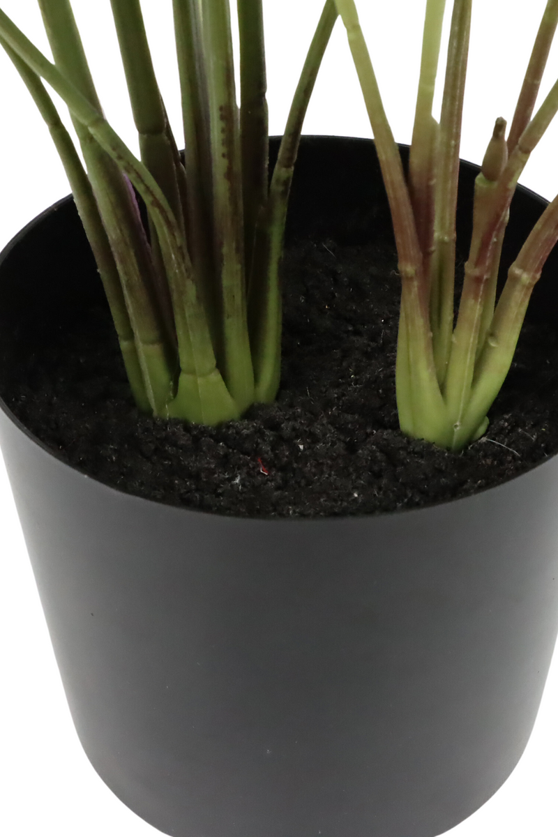 Vue inférieure du Caladium Artificiel 38cm