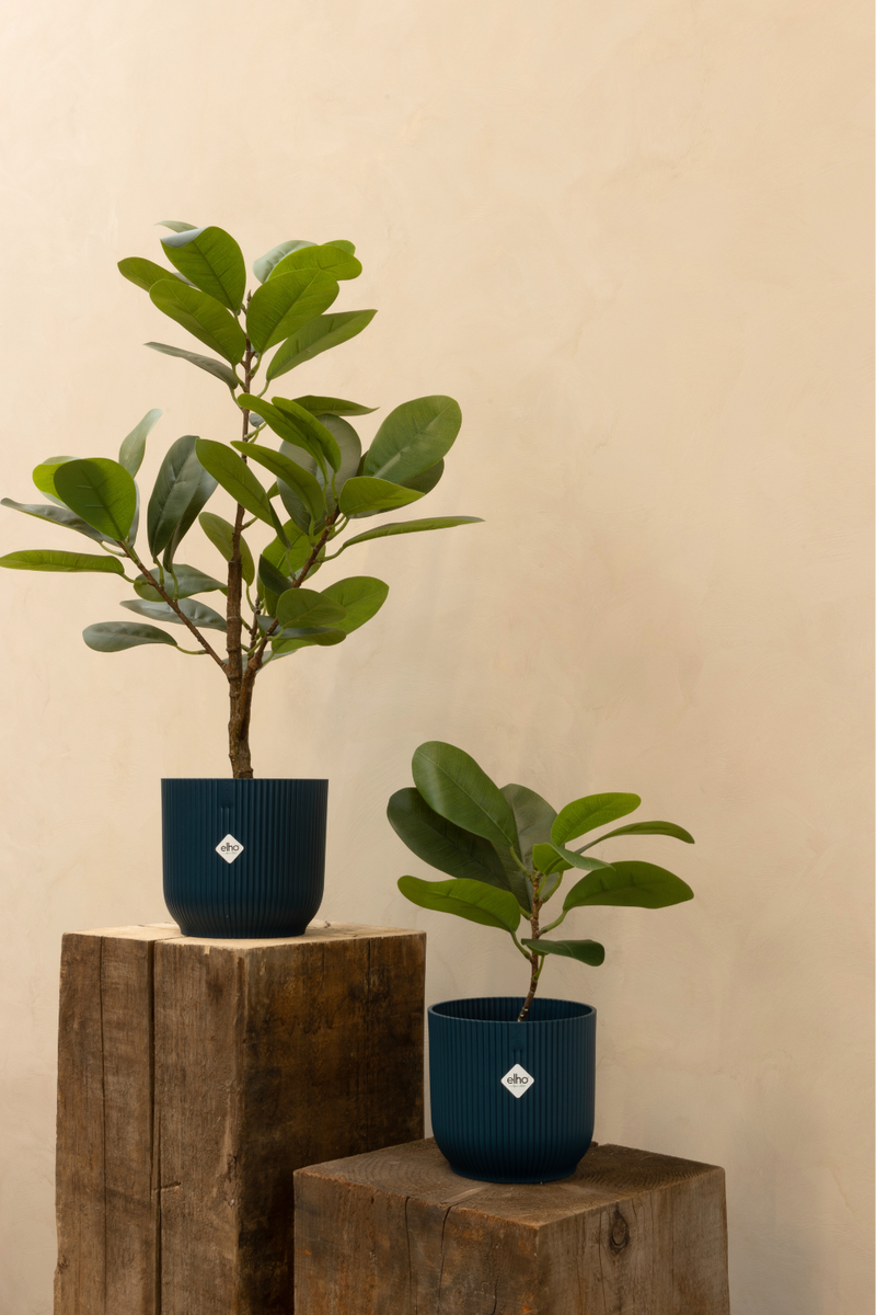 Photo d’ambiance du Ficus Artificiel 35cm