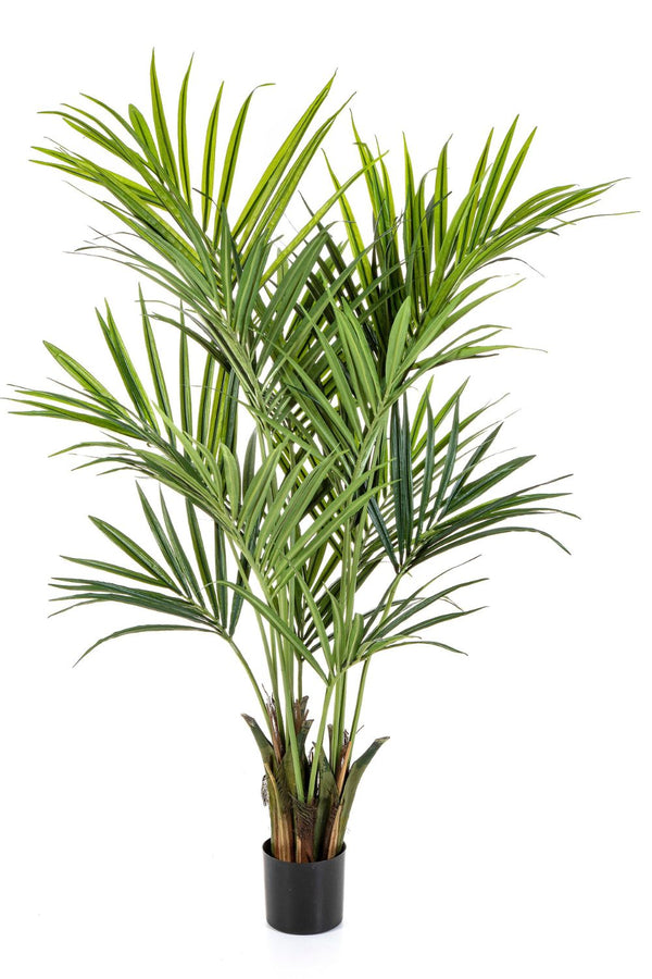 Palmier Kentia Artificiel 180cm