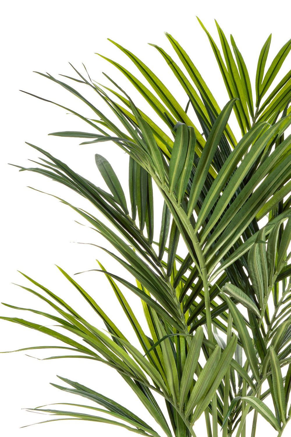 Détails du Palmier Kentia Artificiel 150cm