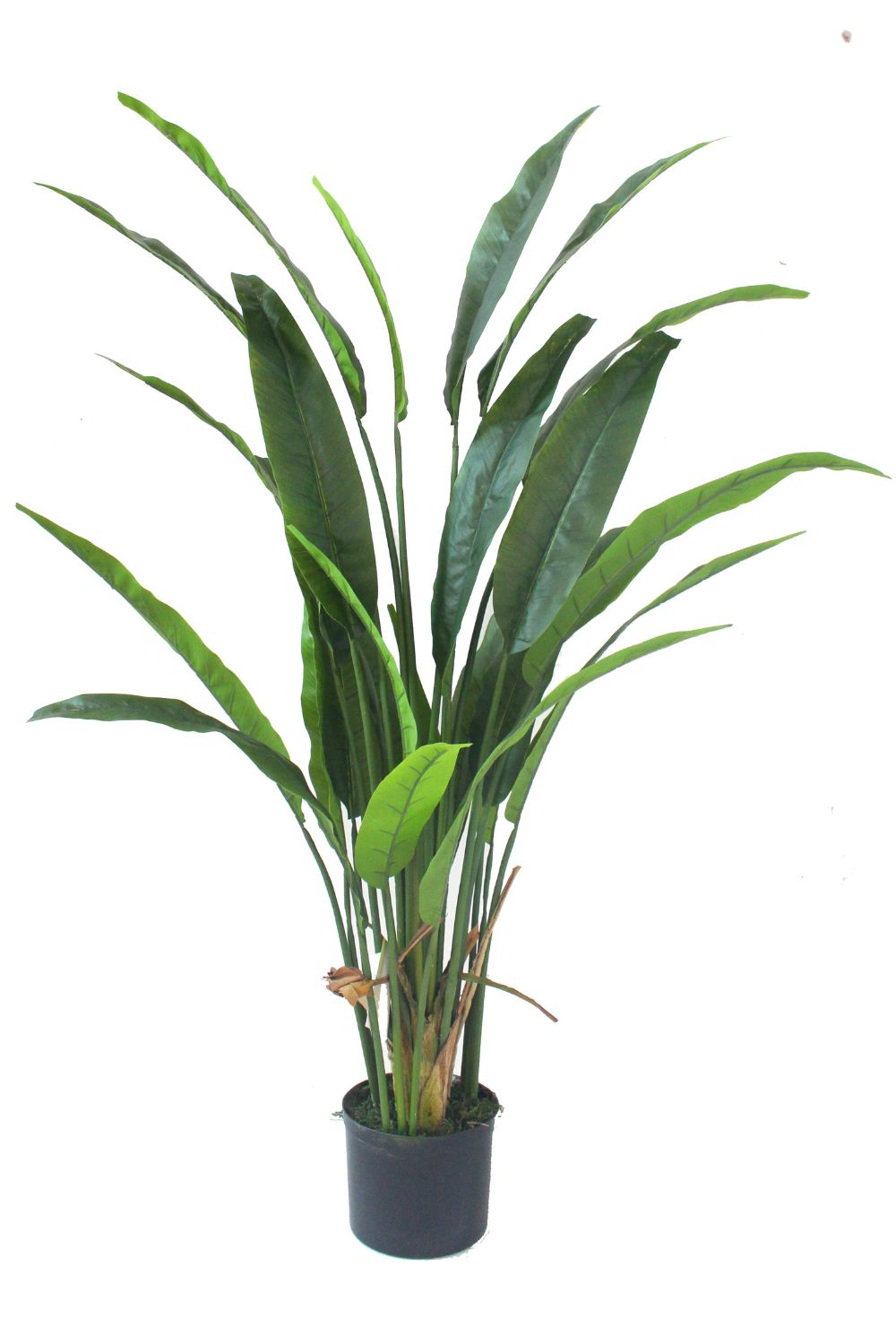 Strelitzia Artificielle 160 cm