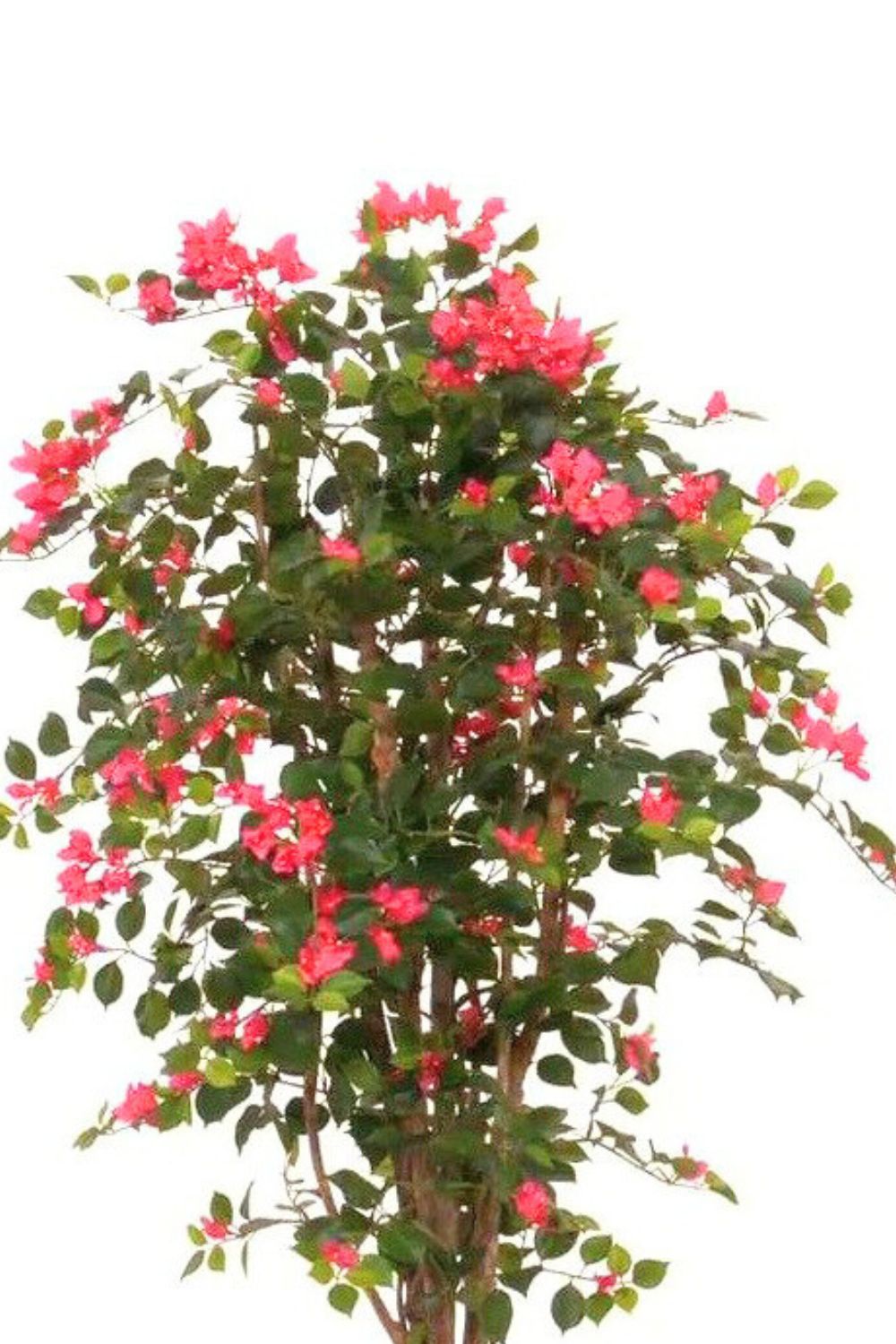 Bougainvillier artificiel 180 cm