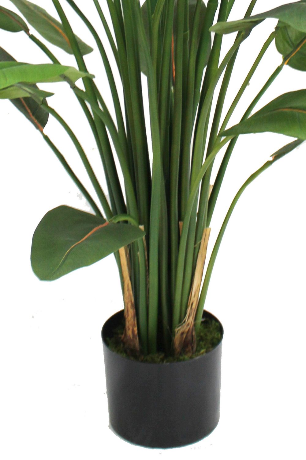 Détails du Strelitzia Artificielle 120cm avec fleur