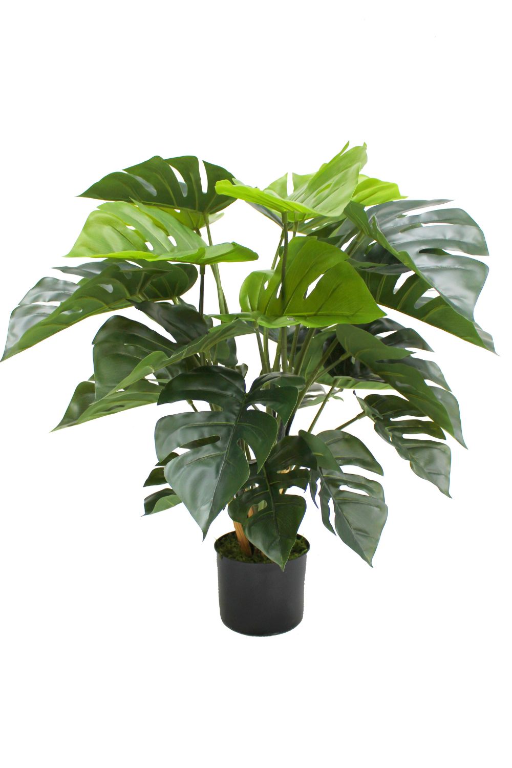 Monstera artificielle 65 cm