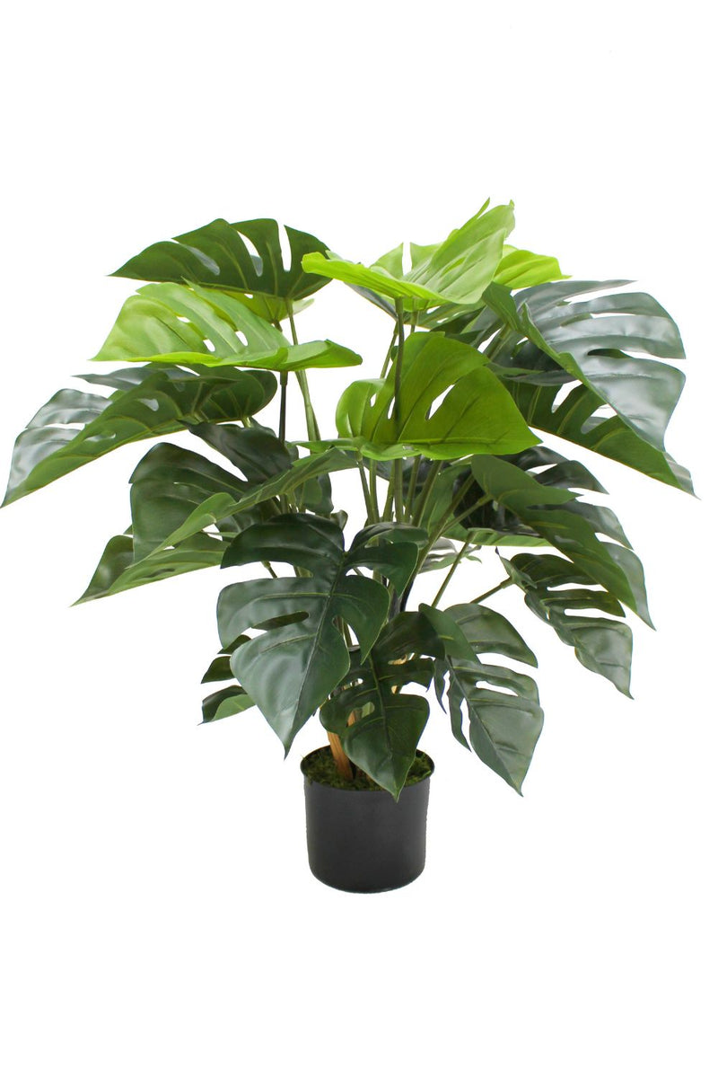 Monstera artificielle 65 cm