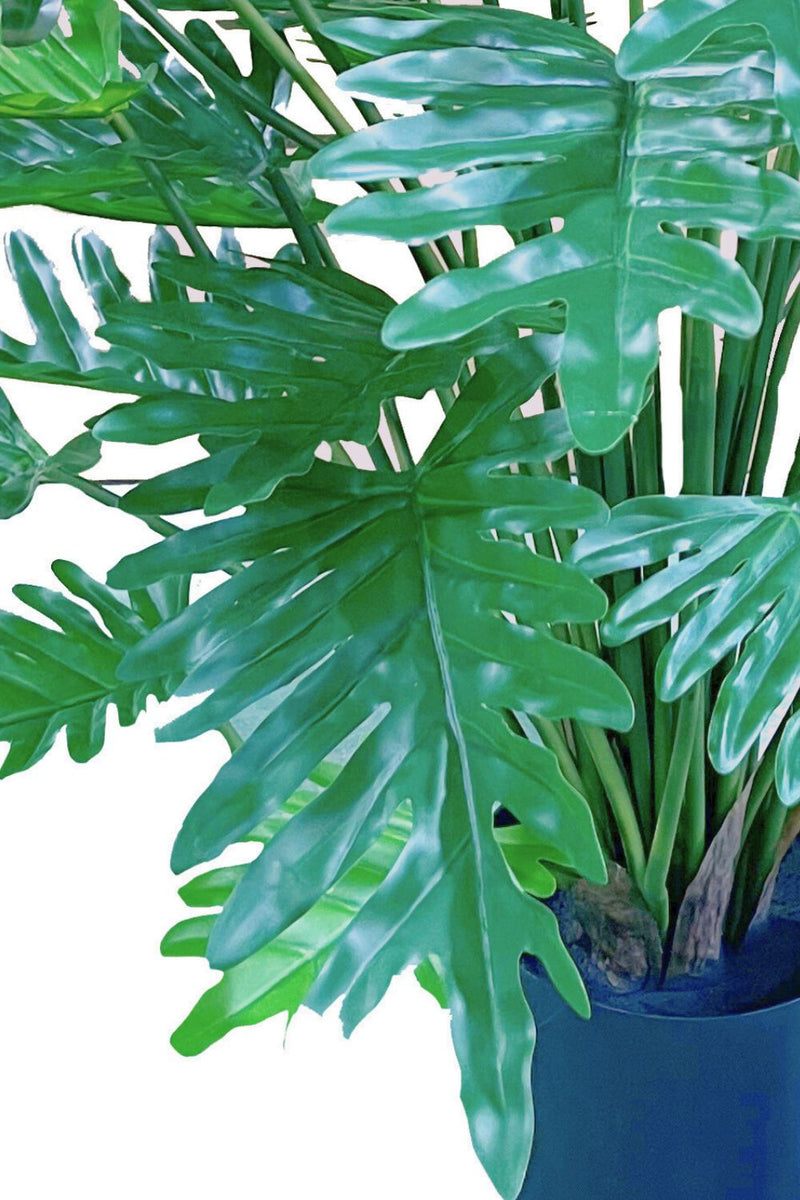 Détails du Philodendron Artificiel 75cm