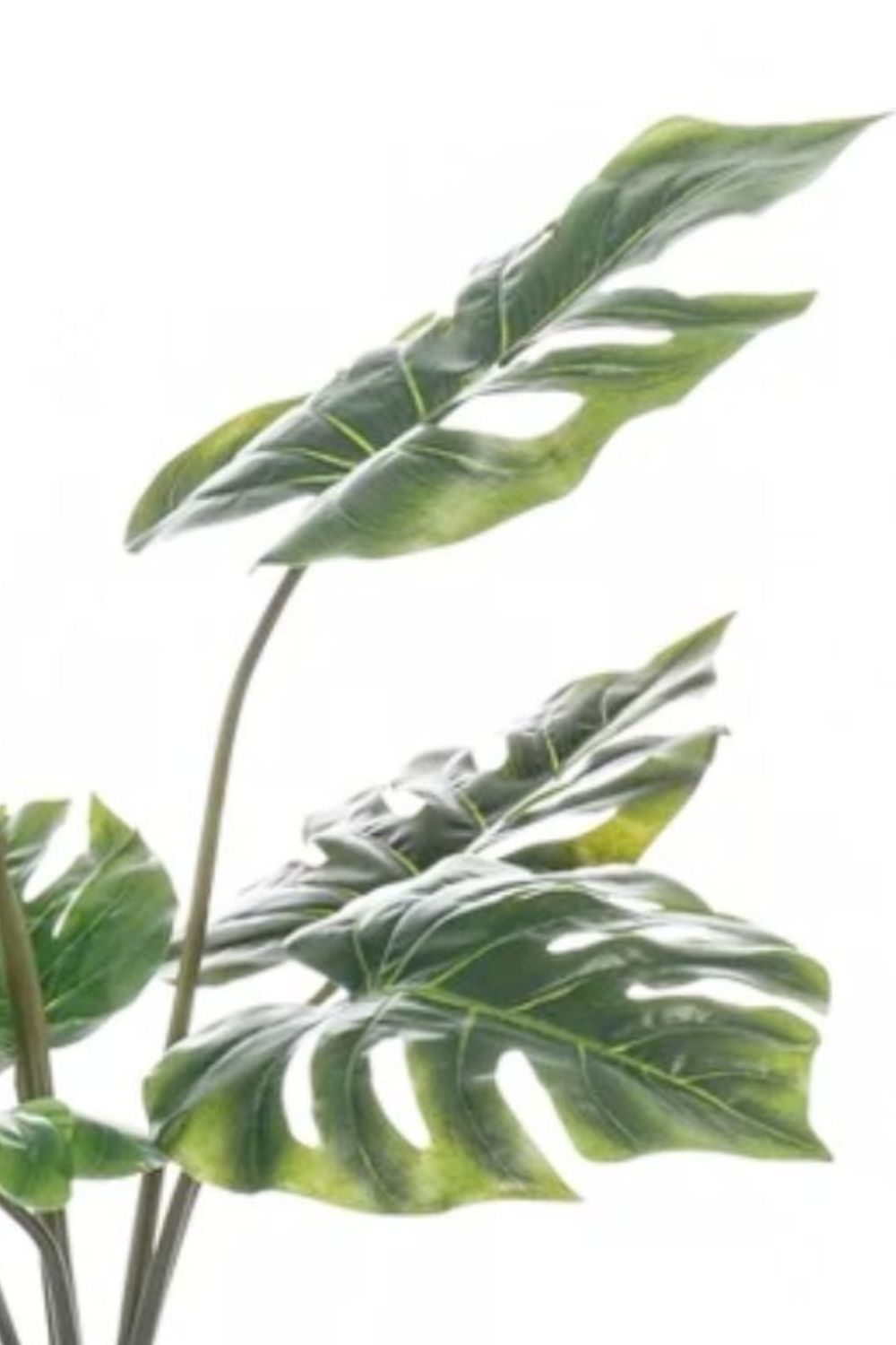 Monstera artificielle 60 cm