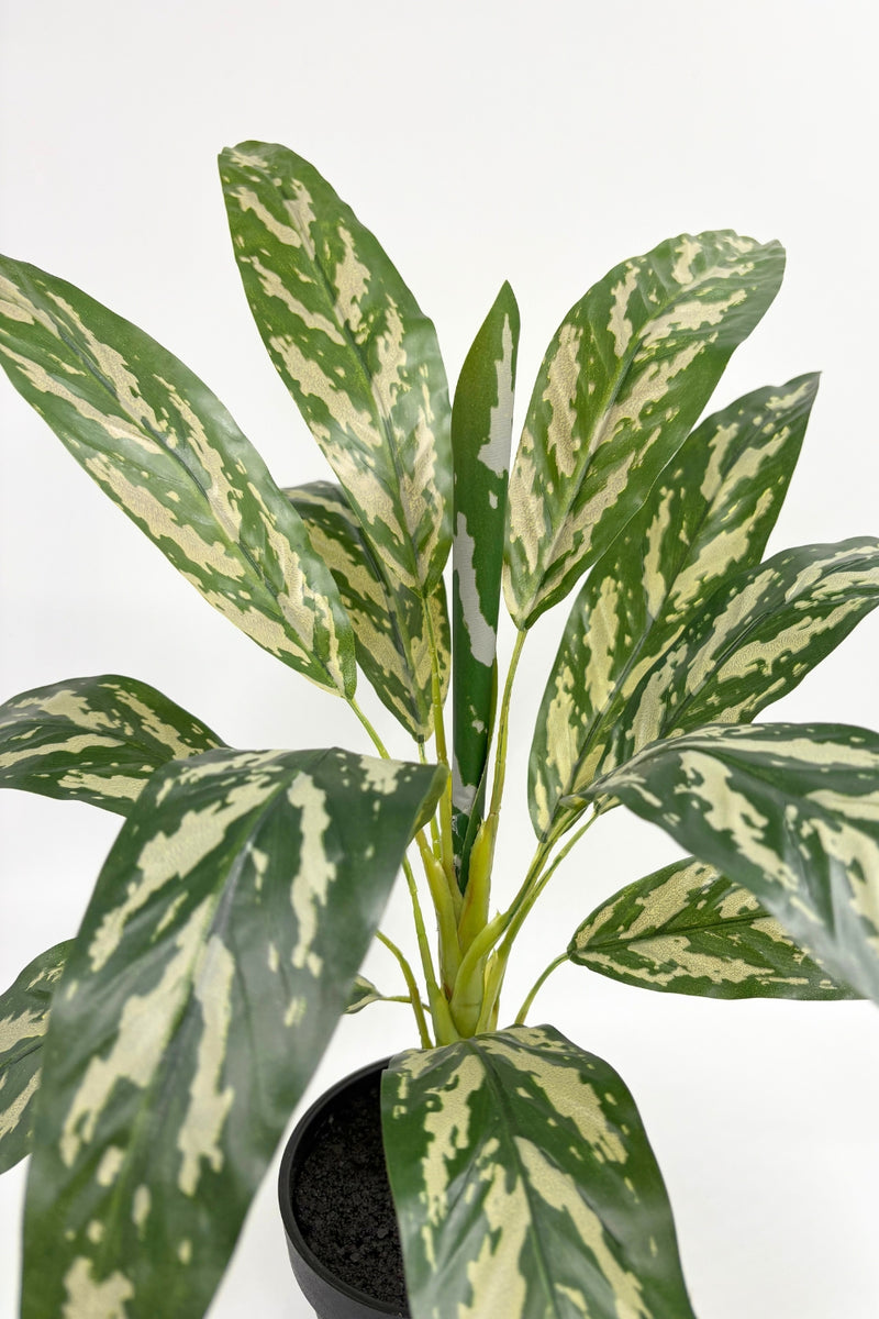 Plante Artificielle Dracaena 40 cm